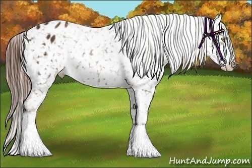 Horse Color:Liver Chestnut Snowflake Varnish Brindle