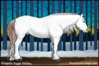 Horse Color:Bay Appaloosa  Brindle