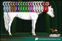 Horse Color:White Spotted Silver Brown Splash Frame Appaloosa and White Spotted Silver Brown Splash Frame Appaloosa