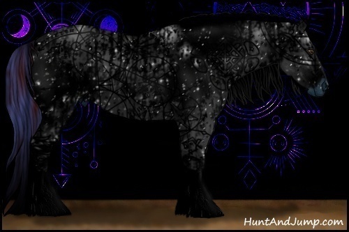 Horse Color:ERROR: UNKNOWN ANOMALY and ERROR: UNKNOWN ANOMALY