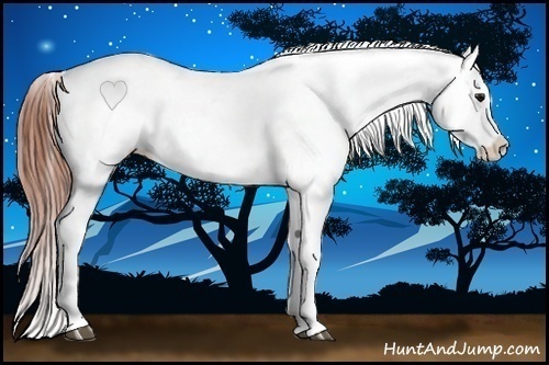 Horse Color:Brown Appaloosa  Brindle