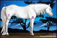 Horse Color:Chocolate Palomino Snowcap Brindle