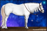 Horse Color:Chestnut Appaloosa  and Chestnut Appaloosa 