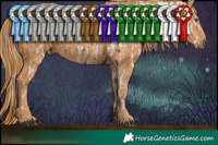 Horse Color:White Spotted Black Sabino Splash Appaloosa Brindle