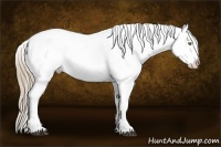 Horse Color:White Spotted Liver Chestnut Sabino Blanket Brindle