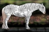 Horse Color:Blue Roan Appaloosa  Brindle