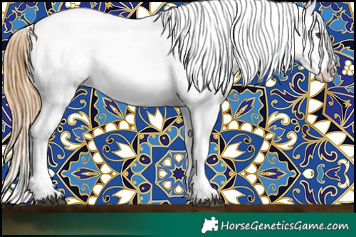 Horse Color:Chestnut Appaloosa  and Chestnut Appaloosa 