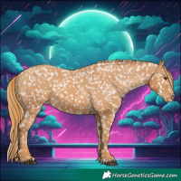 Horse Color:Chestnut Snowflake Varnish  and Chestnut Snowflake Varnish 