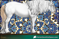 Horse Color:Chestnut Appaloosa  and Chestnut Appaloosa 