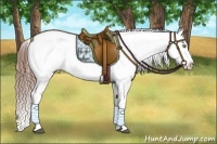 Horse Color:Chestnut Snowflake Varnish Brindle