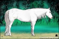 Horse Color:Watercolor Bay Sabino Snowflake Varnish  and Watercolor Bay Sabino Snowflake Varnish 
