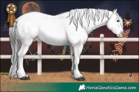 Horse Color:Brown Onyx Appaloosa and Brown Onyx Appaloosa