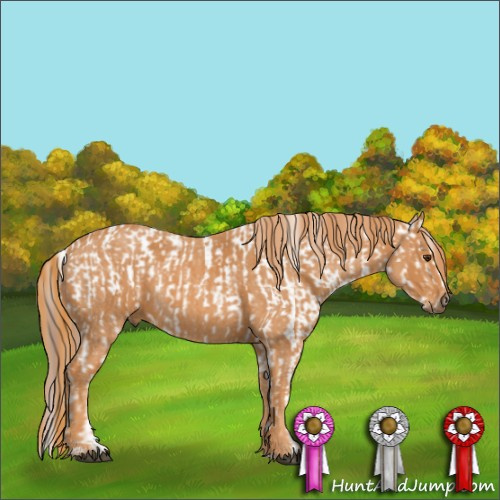 Horse Color:Chestnut Snowflake Varnish  Brindle