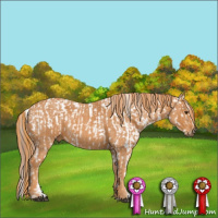 Horse Color:Chestnut Snowflake Varnish Brindle