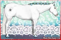 Horse Color:Palomino Snowflake Varnish  and Palomino Snowflake Varnish 