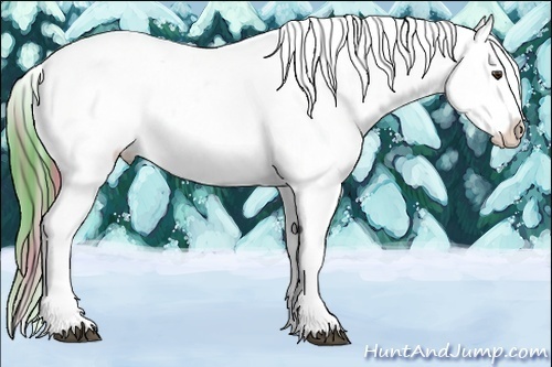 Horse Color:Watercolor Liver Red Dun Onyx Tobiano Appaloosa  and Watercolor Liver Red Dun Onyx Tobiano Appaloosa 