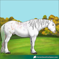 Horse Color:Watercolor Liver Red Dun Onyx Tobiano Blanket  and Watercolor Liver Red Dun Onyx Tobiano Blanket 