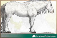 Horse Color:Plaid Brown Onyx Snowflake Varnish Brindle