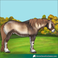 Horse Color:Liver Red Onyx and Liver Red Onyx