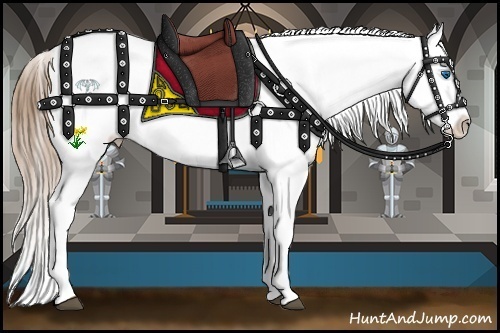Horse Color:White Spotted Brown Pearl Onyx Splash Appaloosa  and White Spotted Brown Pearl Onyx Splash Appaloosa 