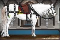 Horse Color:White Spotted Brown Pearl Onyx Splash Appaloosa and White Spotted Brown Pearl Onyx Splash Appaloosa