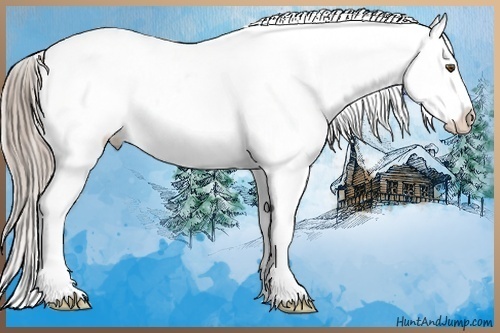 Horse Color:Chocolate Palomino Onyx Appaloosa  and Chocolate Palomino Onyx Appaloosa 