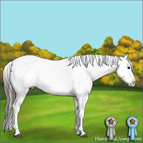 Horse Color:Buckskin Snowflake Varnish  and Buckskin Snowflake Varnish 