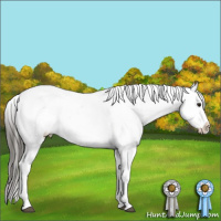 Horse Color:Buckskin Snowflake Varnish and Buckskin Snowflake Varnish