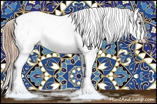 Horse Color:Red Dun Onyx Appaloosa  and Red Dun Onyx Appaloosa 
