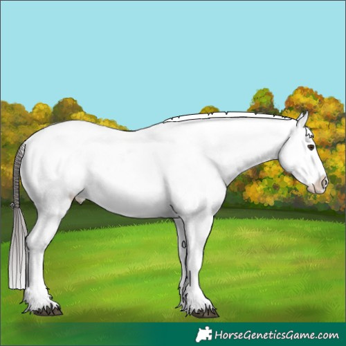 Horse Color:Liver Chestnut Snowflake Varnish Brindle
