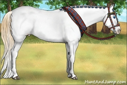 Horse Color:Buckskin Splash Near Leopard  and Buckskin Splash Near Leopard 