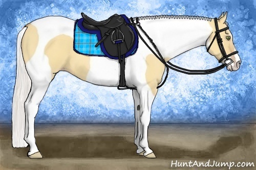 Horse Color:Silver Amber Champagne Dun Sabino Tobiano Frame 