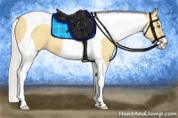 Horse Color:Silver Amber Champagne Dun Sabino Tobiano Frame 