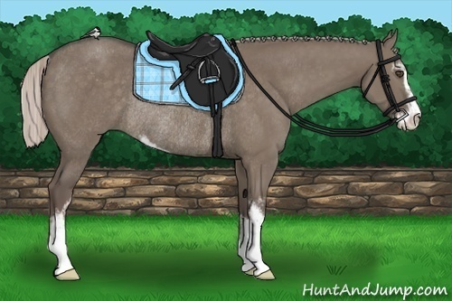 Horse Color:Silver Grullo Sabino Rabicano 