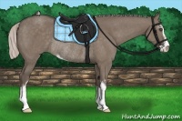 Horse Color:Silver Grullo Sabino Rabicano