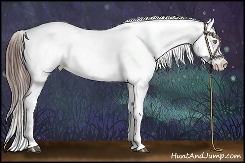 Horse Color:Liver Chestnut Blanket Brindle