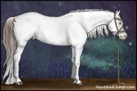 Horse Color:Liver Chestnut Appaloosa Brindle