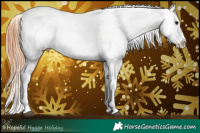 Horse Color:Bay Appaloosa  and Bay Appaloosa 