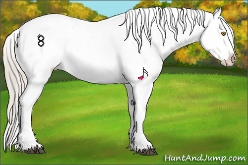 Horse Color:White Spotted Silver Grullo Appaloosa  Brindle
