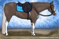 Horse Color:Silver Black Sabino Tobiano
