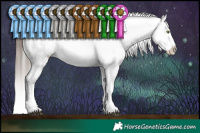 Horse Color:Brown Appaloosa  and Brown Appaloosa 