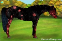 Horse Color:ERROR: UNKNOWN ANOMALY Brindle