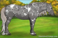 Horse Color:White Spotted Silver Black Ice