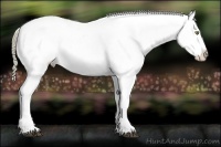 Horse Color:Liver Chestnut Mushroom Snowflake Varnish Brindle