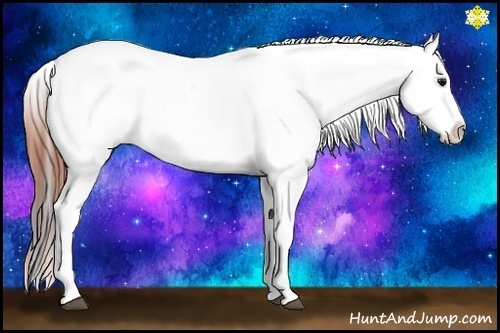 Horse Color:Bay Near Leopard Brindle