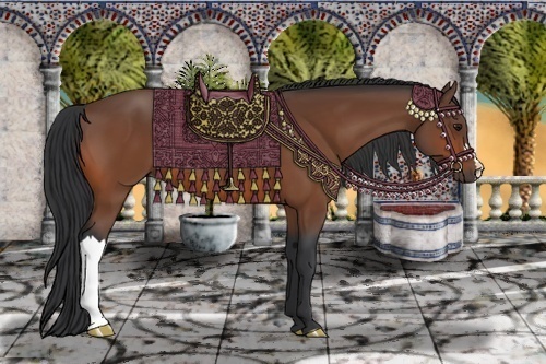 Horse Color:Bay 