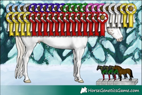 Horse Color:White Spotted Silver Grullo Ice Tobiano 