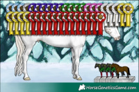 Horse Color:White Spotted Silver Grullo Ice Tobiano