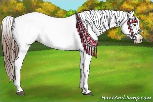 Horse Color:Chestnut Blanket  and Chestnut Blanket 