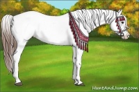 Horse Color:Chestnut Blanket and Chestnut Blanket